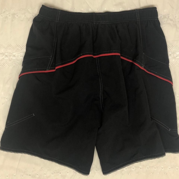 NWT Men's Black & Red/Gray Stripe Alpine Bathing Suit - Picture 2 of 6